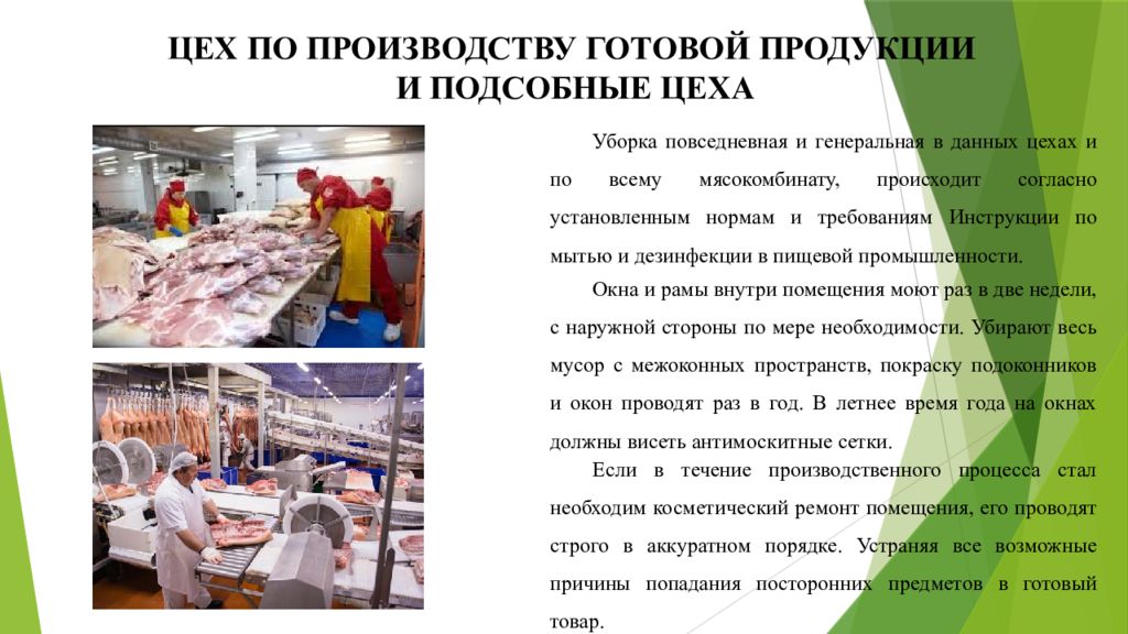 Мойки и дезинфекции на предприятиях мясной промышленности. Мясная промышленность презентация. Санитарные требования к мясоперерабатывающим предприятиям. САНПИН для мясного цеха.