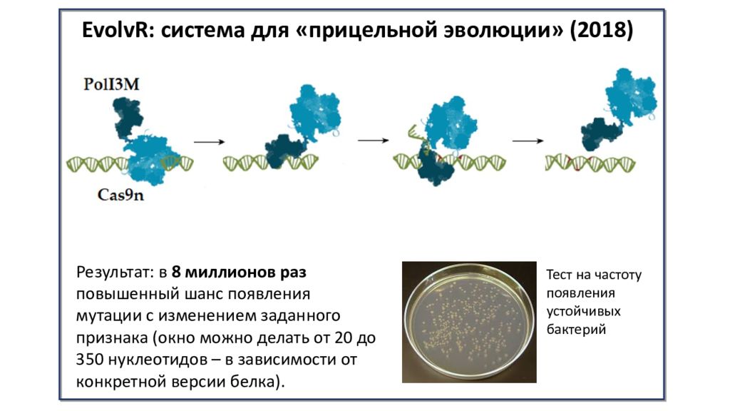 9 систем. CRISPR/cas9 для презентации. CRISPR/cas9 система история, возможности и риски.