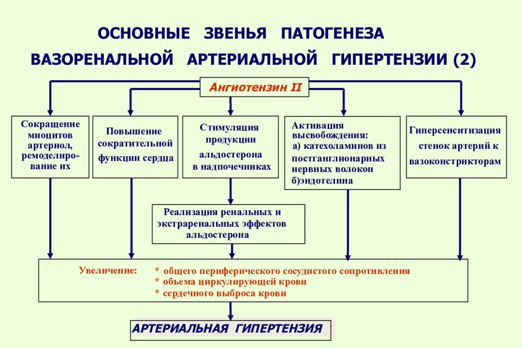 Этиология артериальной гипертензии. Механизмы развития артериальной гипертензии патофизиология. Вазоренальная артериальная гипертензия патогенез. Этиология вазоренальной гипертензии. Патогенез вазоренальной АГ.