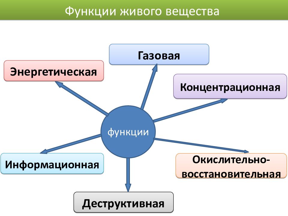 Роль живого вещества в биосфере презентация