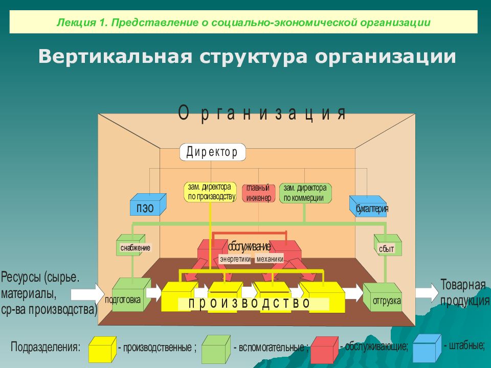 Управление предприятиями лекции. Вертикальная структура. Вертикальная структура управления. Вертикальная организационная структура. Вертикальная структура управления картинки.