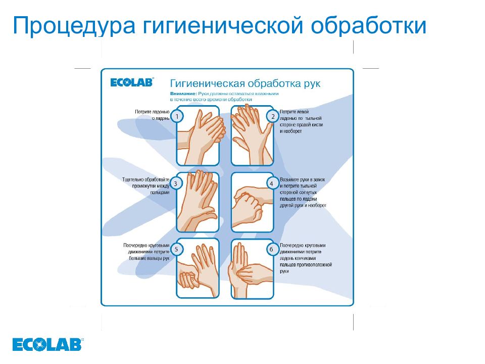 Руки на гигиеническом уровне алгоритм. Схема гигиенической обработки рук медперсонала. Гигиеническая обработка рук Ecolab. Обработка рук гигиеническим способом чек лист. Алгоритм гигиенической обработки.
