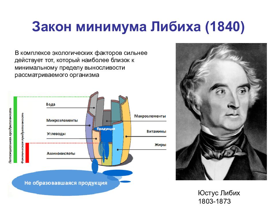 Закон минимума либиха презентация