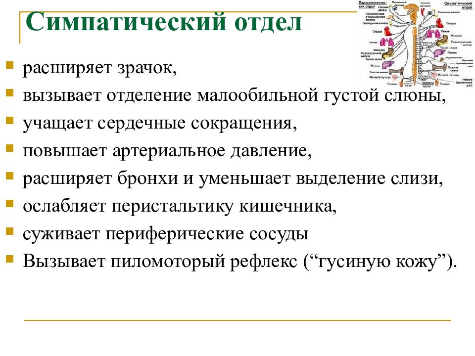 Синдромы поражения вегетативной нервной системы презентация