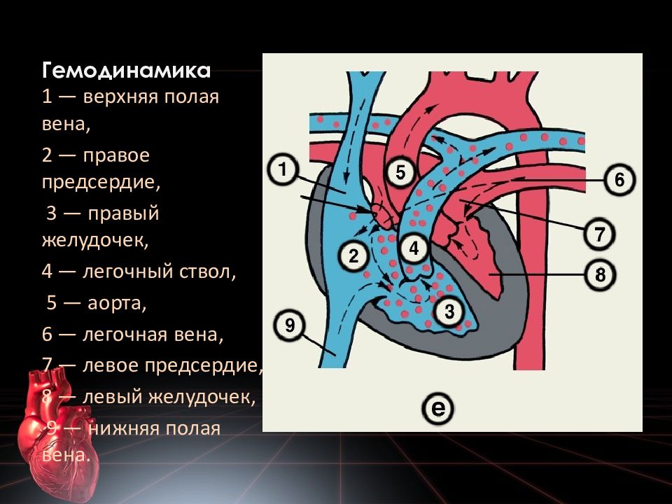 Дмпп у детей презентация