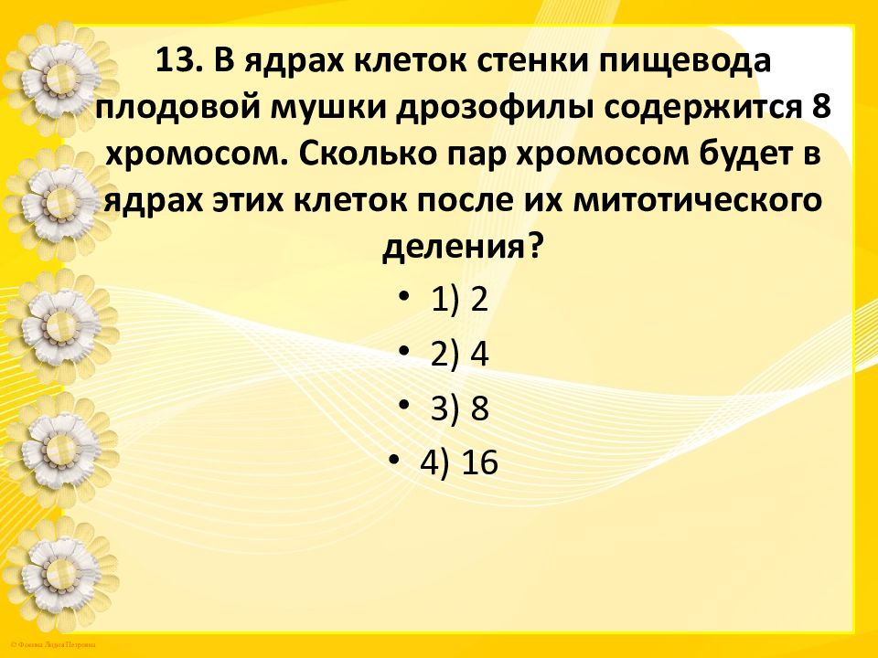 Сколько хромосом содержит клетка зеленой железы рака. Соматическая клетка дрозофилы. В соматических клетках дрозофилы содержится 8 хромосом. Плодовая мушка дрозофилы 8 хромосом.