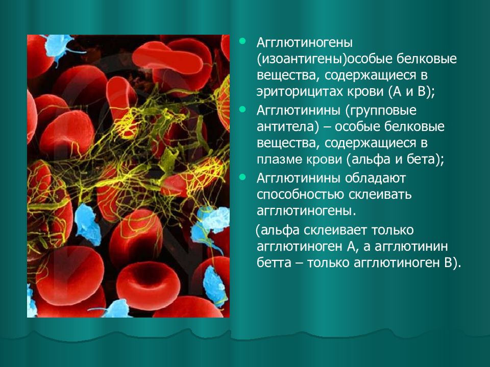 Агглютиногены 1 группы. Агглютинины в плазме крови. Белки плазмы это агглютиногены. Агглютиногены понятие. Агглютиногены эритроцитов.