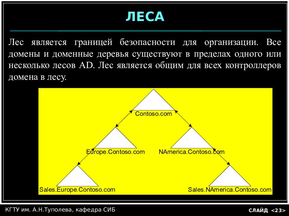 В пределах одной или нескольких. Лес доменов. Домен лес дерево. Лес доменов Active Directory. Что такое лес в Active Directory.