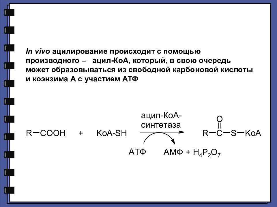 Реакция in vivo. Реакция ацилирования. Скорость реакции ацилирования. Реакции ацилирования карбоновых кислот. Ацилирующая способность производных карбоновых кислот.