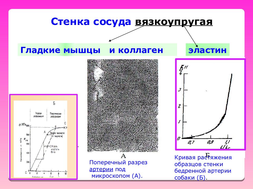 Свойства стенок сосудов. Кривая растяжения. Вязкоупругие материалы примеры. Вязкоупругая модель. Структурные модели вязкоупругих свойств тканей:.