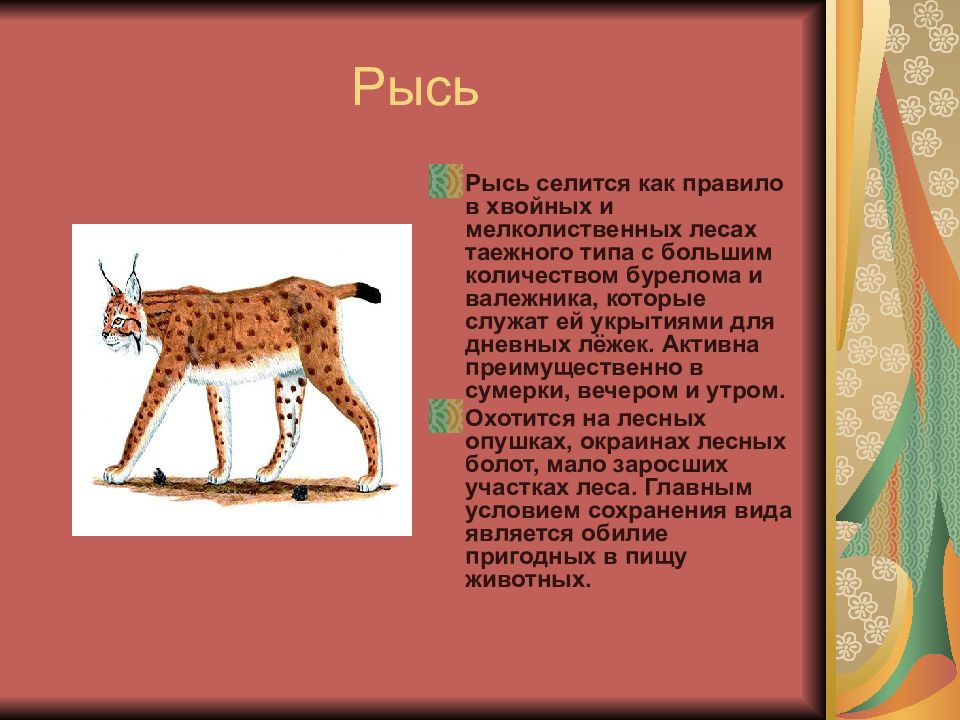 Животный мир ярославской области презентация