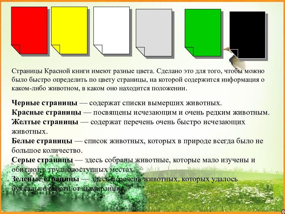 Обозначение страницы презентации это