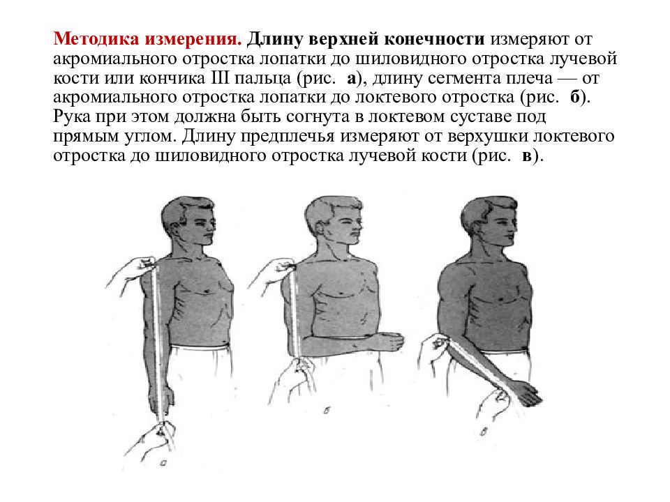 Верхнее длина. Измерение длины верхней конечности травматология. Измерение длины конечностей в травматологии. Длина верхней конечности. Определение длины верхней конечности.