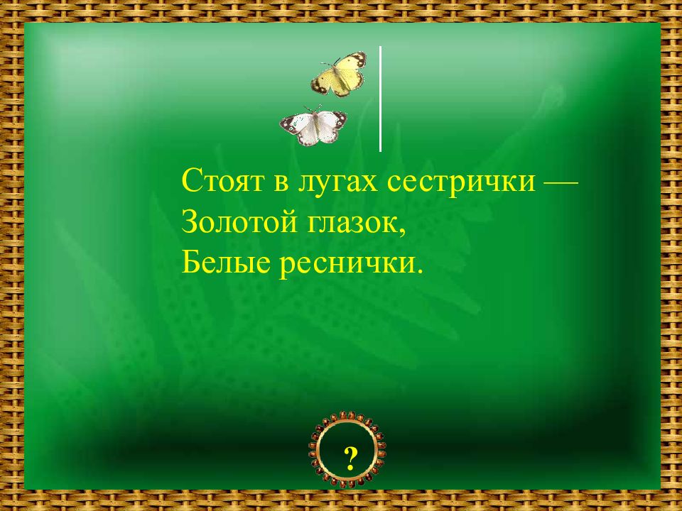 Стоят в лугах сестрички. Стоят в лугах сестрички золотой глазок белые реснички. Загадка стоят в лугах сестрички золотой глазок белые реснички. Золотой глазок белые реснички.