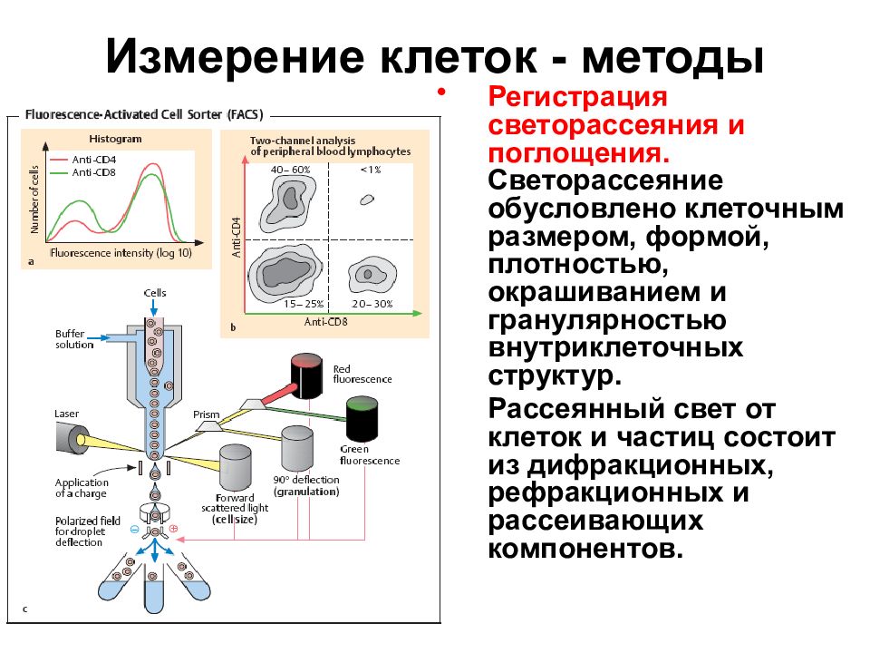 Клеточные методы. Методы измерения клетки. Схема серологического метода диагностики. 