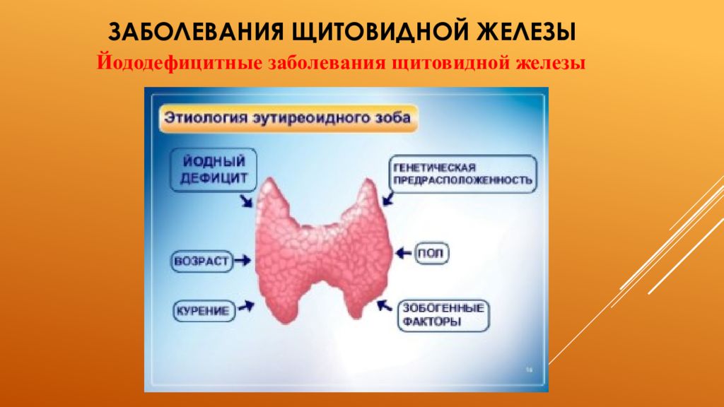 Щитовидная железа биология 8. Заболевания щитовидной железы. Патология щитовидной железы. Щитовидная железа презентация.