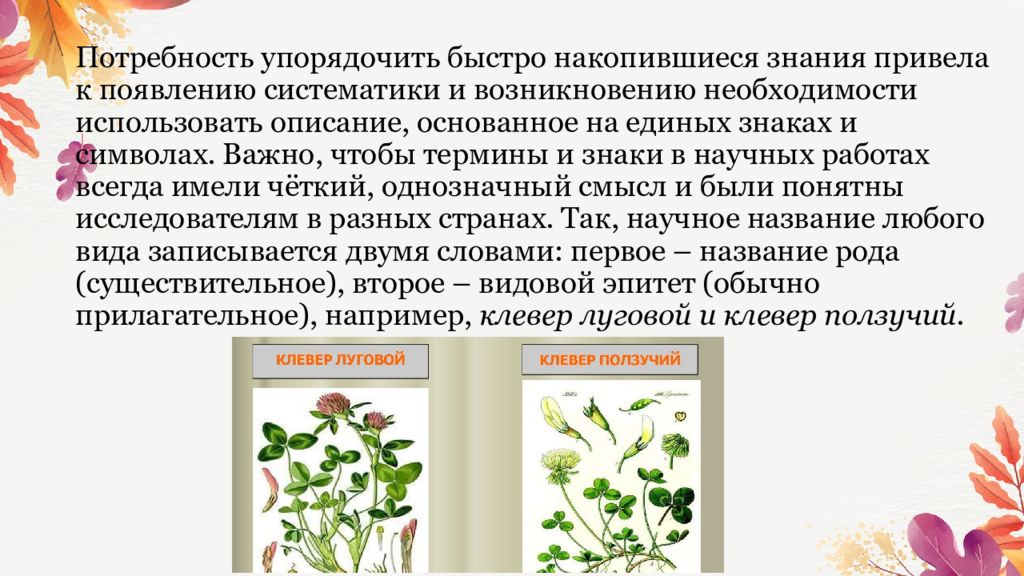 Какого значение систематики
