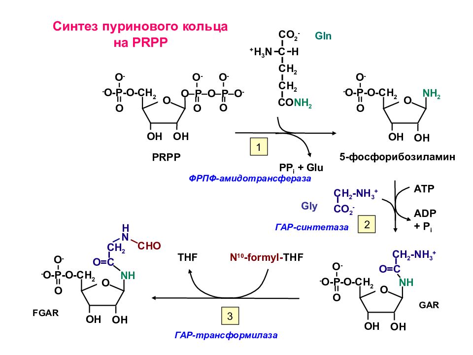 Синтез. Синтез пуриновых нуклеотидов биохимия. Синтез пуринового кольца биохимия. Синтез 5 фосфорибозиламина. Синтез 5 ыосфориьозиламин.