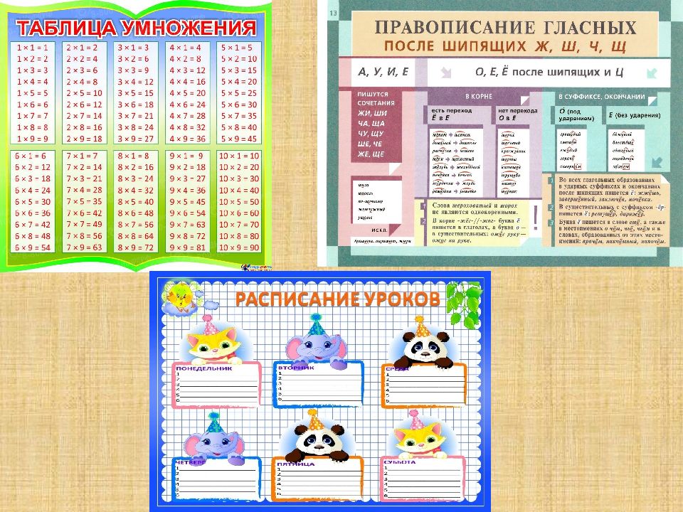 Представление данных в таблицах ( 7 класс) - презентация онлайн