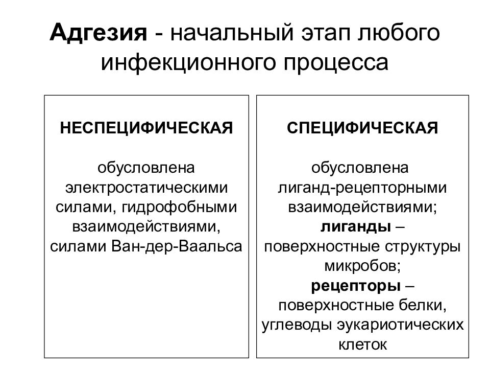 Учение об инфекции микробиология презентация