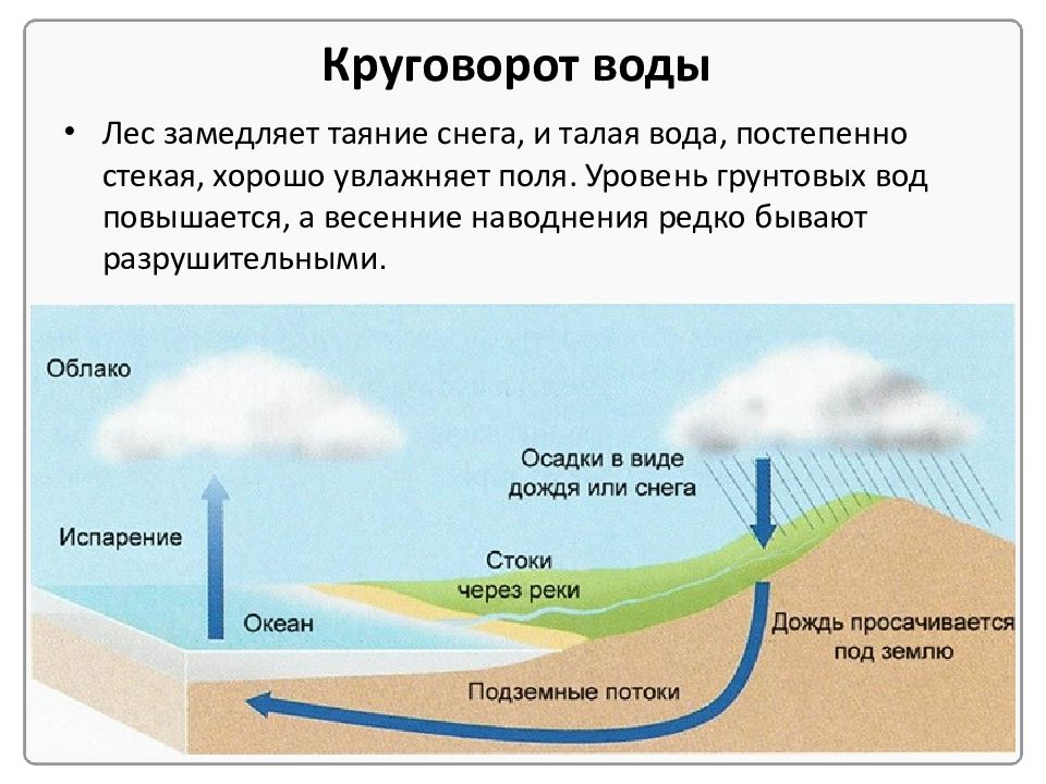 Какими буквами на схеме круговорота воды отмечены испарение перенос влаги осадки реки подземные воды