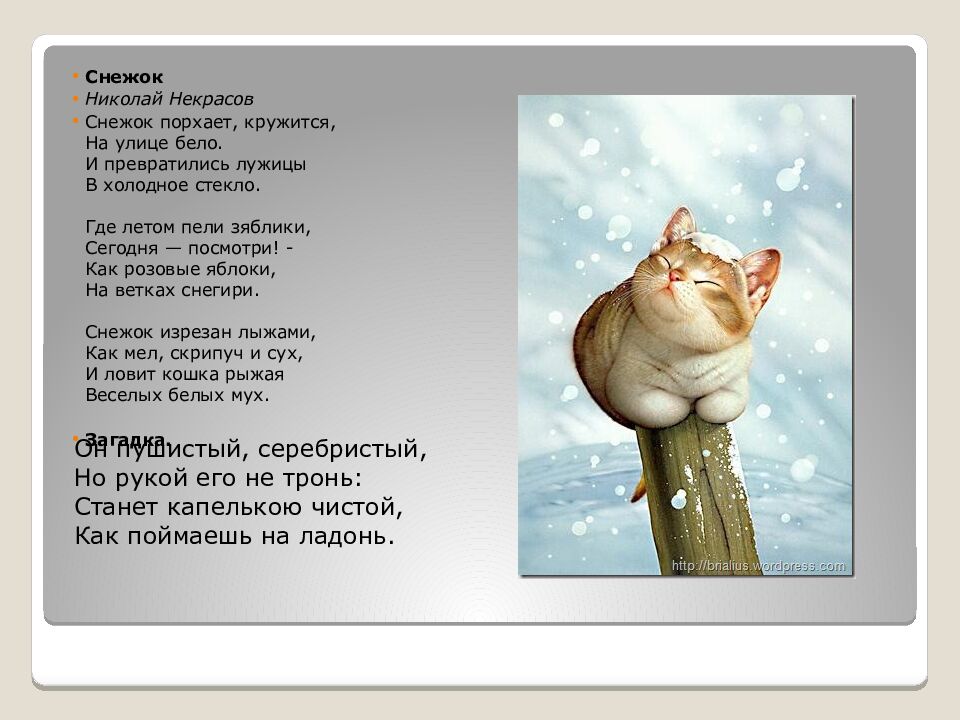 Он пушистый, серебристый, Но рукой его не тронь: Станет капелькою чистой, Как поймаешь на ладонь.
