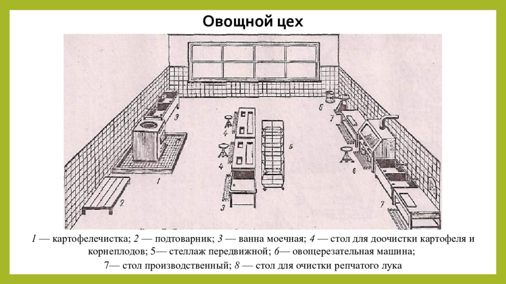 Схема овощного цеха с расстановкой оборудования и описанием