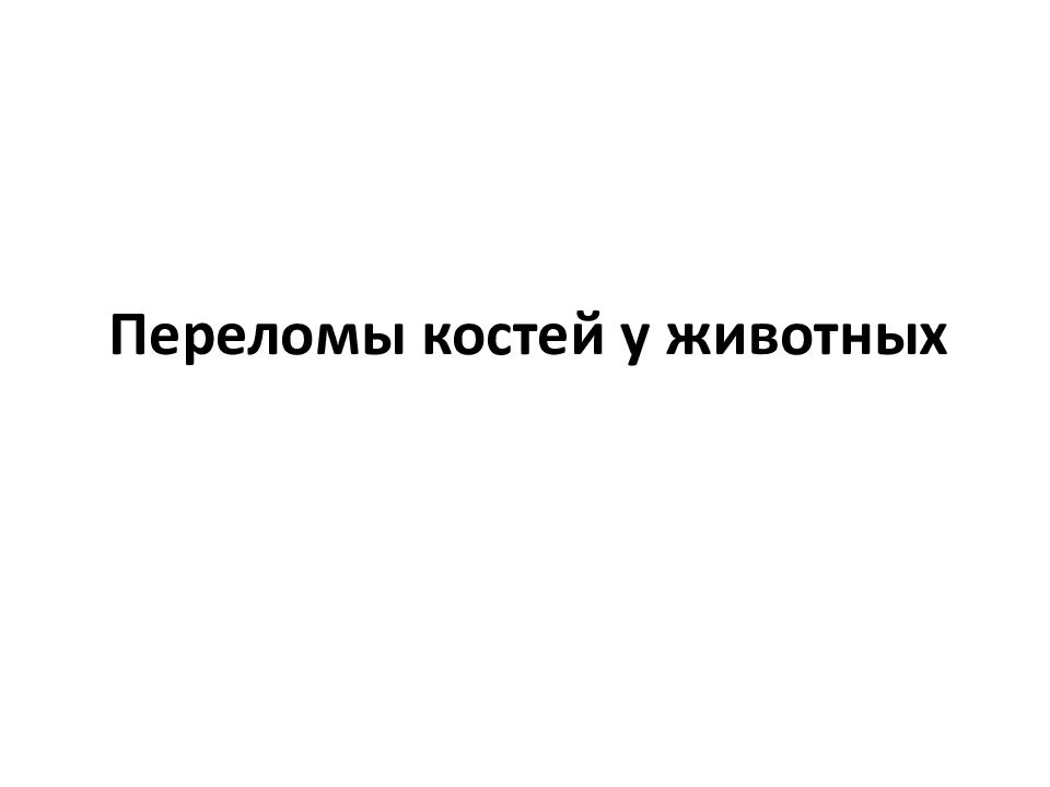 Переломы костей у животных
