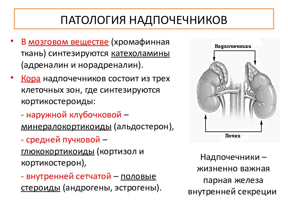 Гипофункция надпочечников презентация