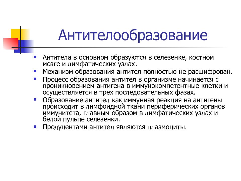 Антитела это. Механизм образования антител. Механизм образования иммуноглобулинов. Процесс образования антител. Антителообразование первичный и вторичный иммунный ответ.