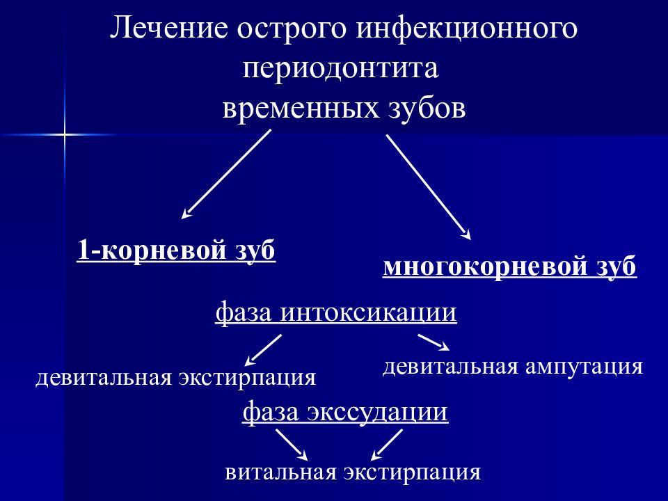 Житомир гугл карта