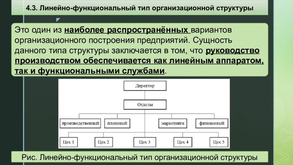 Организация функционального типа. Организационное построение. Функциональный Тип. Требования предъявляемые к построению организационных структур. Сущность структура и разновидности политики.