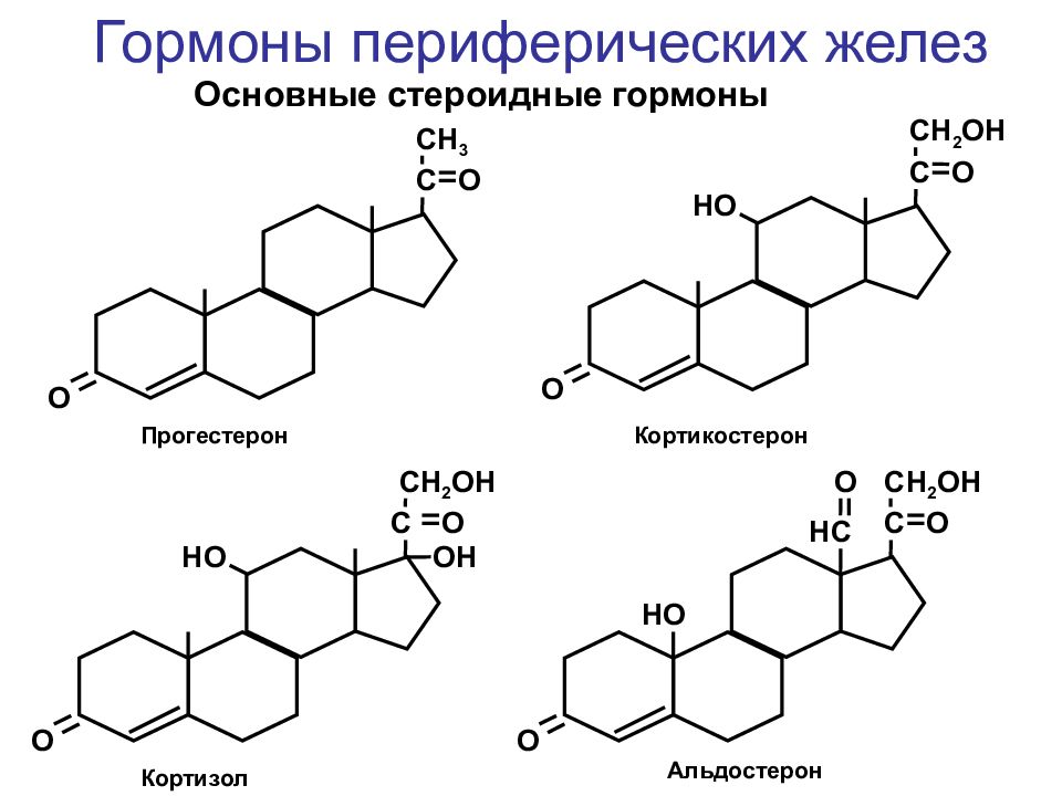 Презентация на тему гормоны химия 10 класс