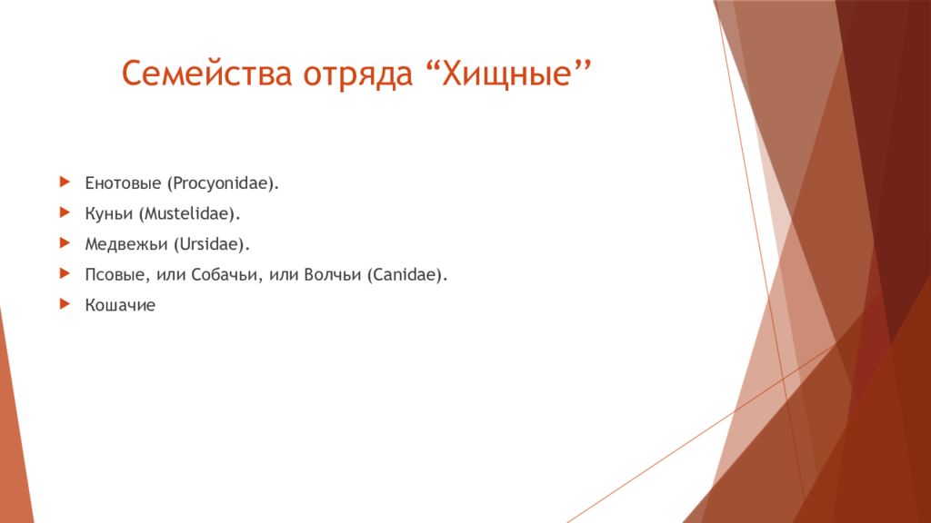 Характеристика семейств отряда хищные таблица. Семейства отряда Хищные. Отряд Хищные классификация. Собаки отряд семейство. О тряд Хищные биология 8 кл.