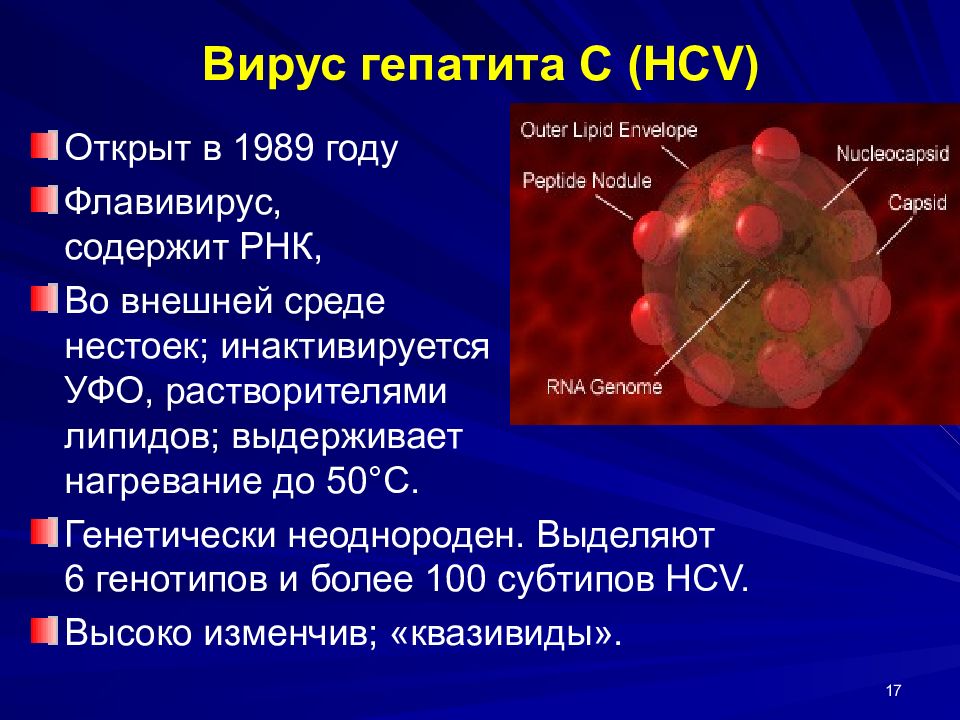 Основная причина вирусного гепатита. Вирус гепатита в. Сообщение на тему вирусы гепатита.