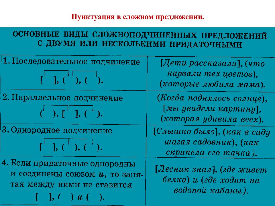 Номер сложного предложения. Пунктуация в сложном предложении. Сложные предложения примеры. Правила пунктуации в сложных предложениях. Знаки в сложном предложении.