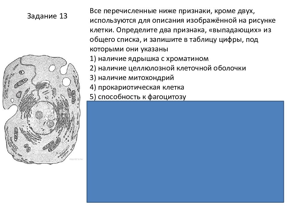 Все перечисленные признаки кроме двух используются