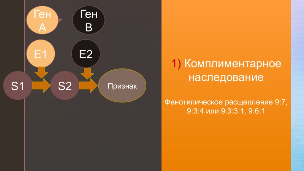 Признак e. Расщепление 9 3 4.