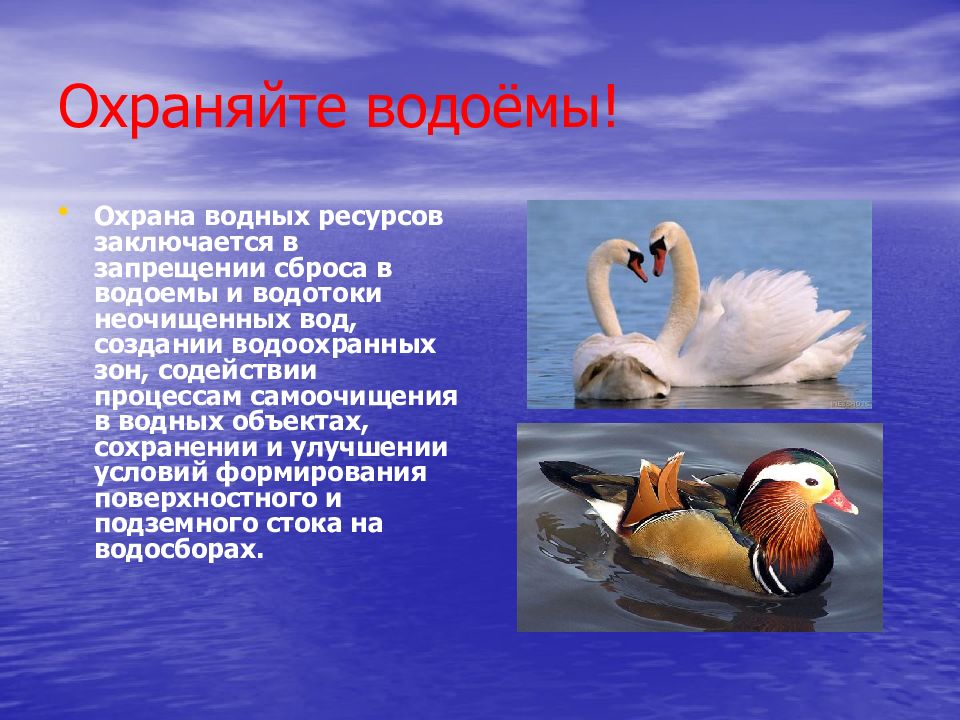 Охрана водоемов. Охрана водных ресурсов заключается в запрещении сброса. Как охранять водоемы 4 класс. Водные объекты водоемы и водотоки примеры. Роль морских экскурсий в вопросах охраны вод.