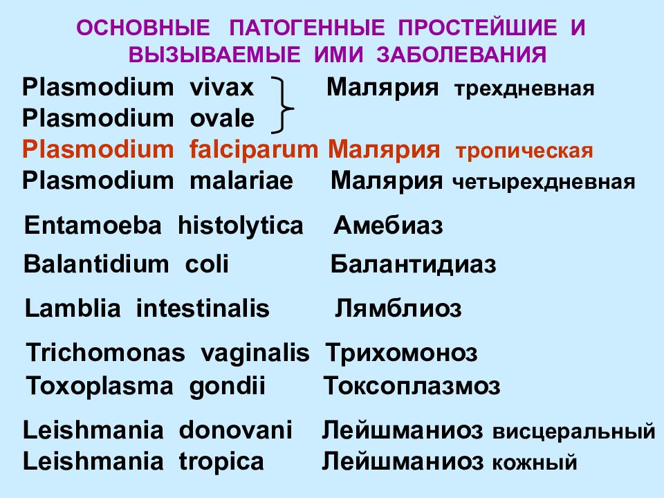 Лечение простейших. Патогенные простейшие. Патогенные для человека протисты. Простейшие патогенные представители. Патогенные простейшие примеры.