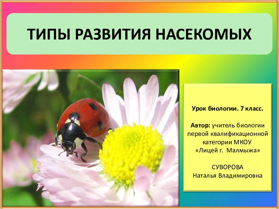 ТИПЫ РАЗВИТИЯ НАСЕКОМЫХ