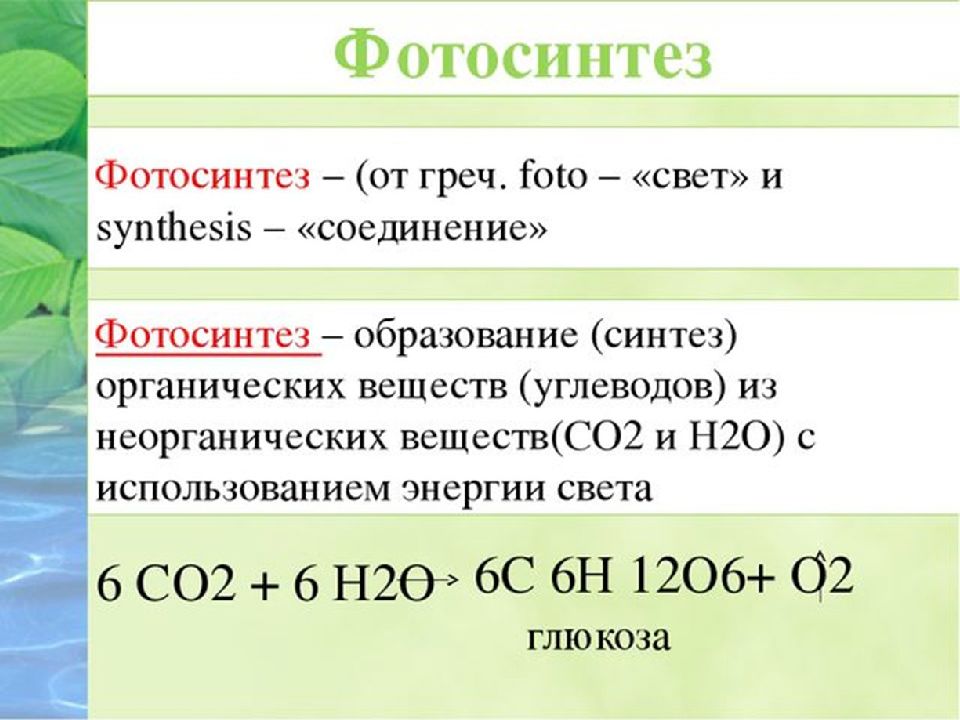 Фотосинтез химический процесс. Со2 фотосинтез реакция. Общая формула фотосинтеза. Формула фотосинтеза 6 класс биология. Фотосинтез формула реакции.