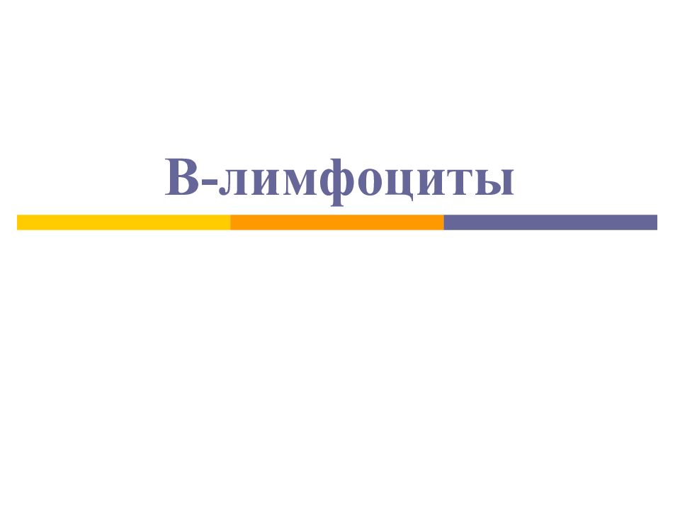 B - лимфоциты