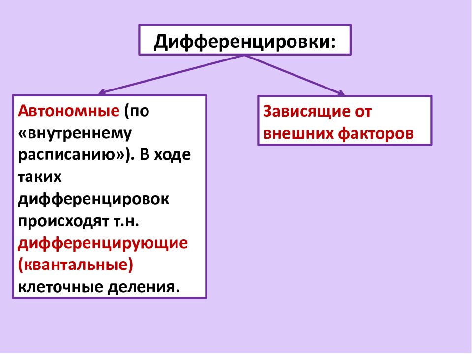 Дифференцировкой структуры. Механизмы дифференцировки. Механизмы клеточной дифференцировки. Дифференцировка клеток механизмы дифференцировки. Негенетические механизмы клеточной дифференцировки.