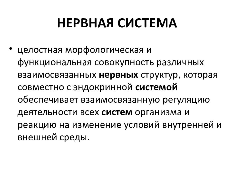 Физиология нервной системы