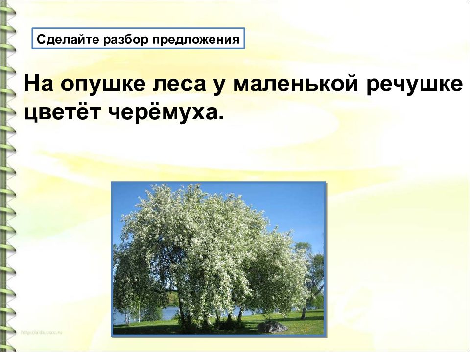 Лексическое значение слова седые ветлы. Сосна лексическое значение. Сосна лексическое значение сосна. Пейзаж лексическое значение. Лексическое обозначение слова сосна.