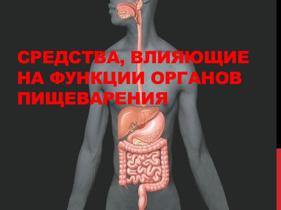Средства, влияющие на функции органов пищеварения