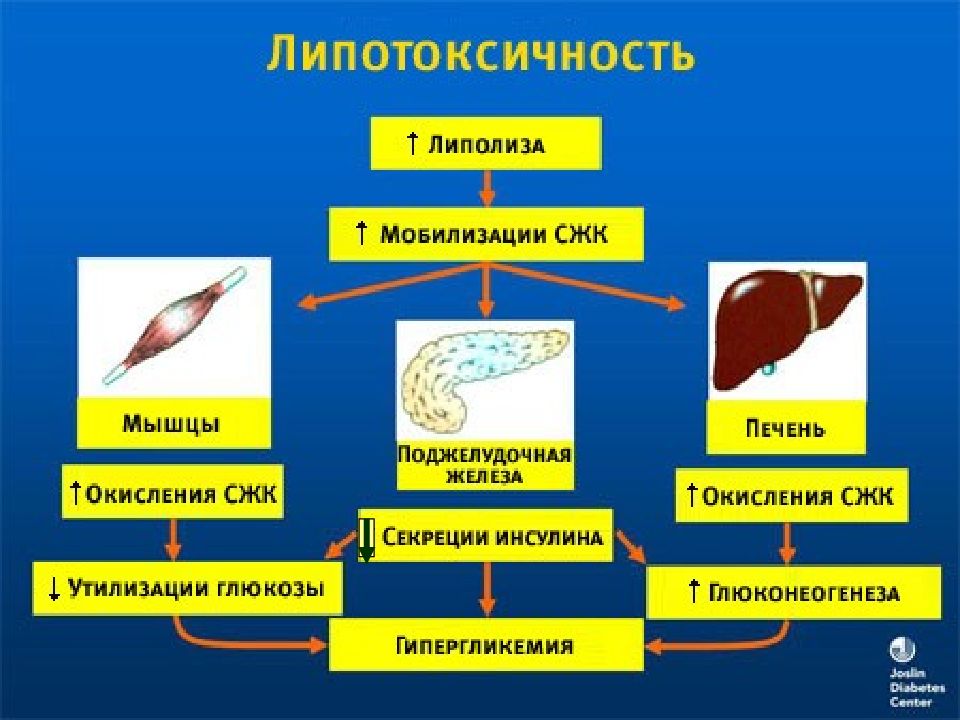 Презентация этиология и патогенез