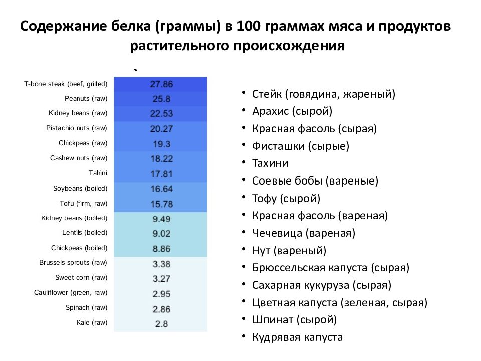 Содержание белков. Первое место по содержанию белка. 1 Место по содержанию белка на 100 грамм. Мясо содержание белка на 100 грамм. Белок в мясе на 100 грамм.