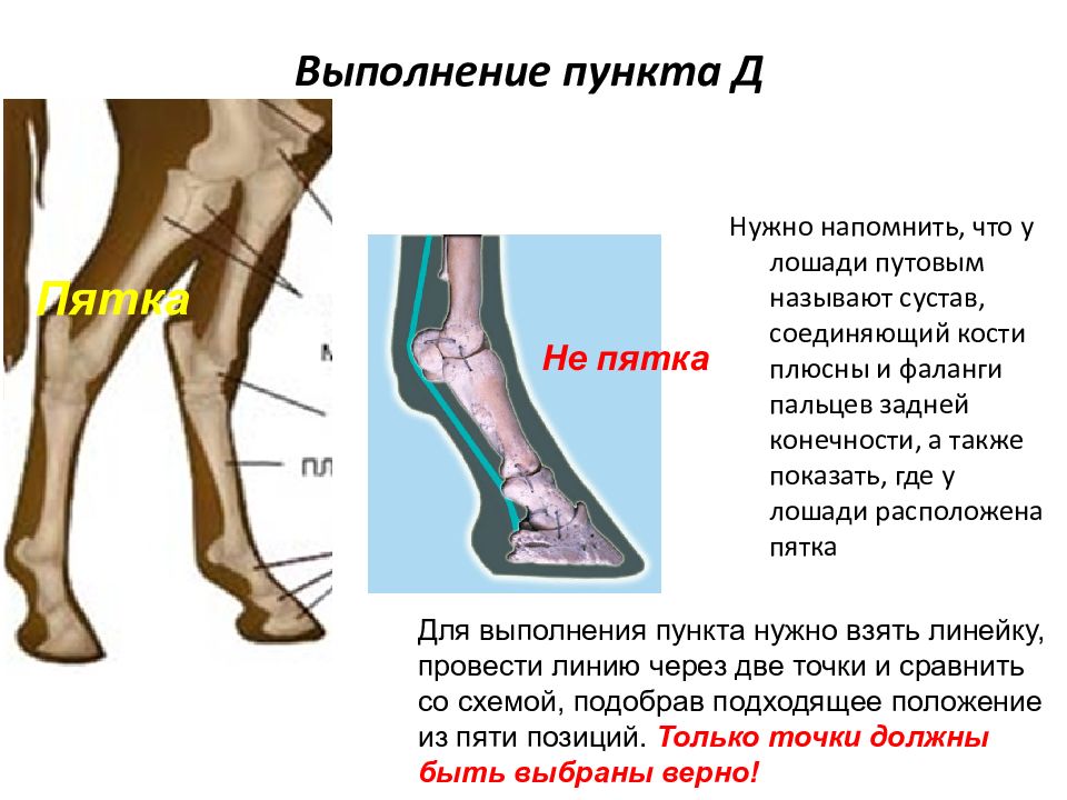 Выполнение пунктов